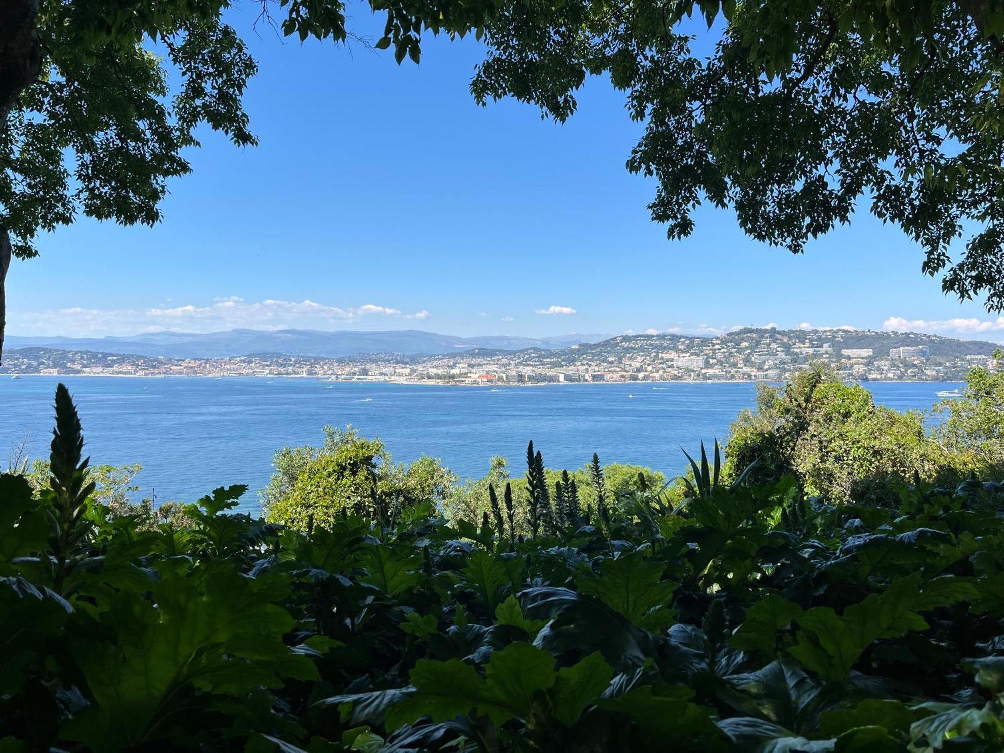 Les Genets Villa Fayence Kültér fotó